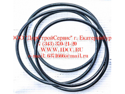 Кольцо уплотнительное ø338х3.55 гидромуфты ГТР CDM 833 Lonking CDM (СДМ) ø338х3.55 фото 1 Йошкар-Ола