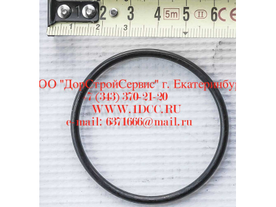 Кольцо уплотнительное ø346х3.5 гидромуфты ГТР CDM 855, 843 Lonking CDM (СДМ) 402236 фото 1 Йошкар-Ола