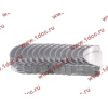 Вкладыши коренные стандарт +0.00 (14шт) LONGGONG CDM833 Lonking CDM (СДМ) 13034908/13034916 фото 2 Йошкар-Ола