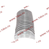 Вкладыши коренные двигателя CA6DL2 (36D) F FAW (ФАВ) 1002034A36D/1002035A36D для самосвала фото 3 Йошкар-Ола